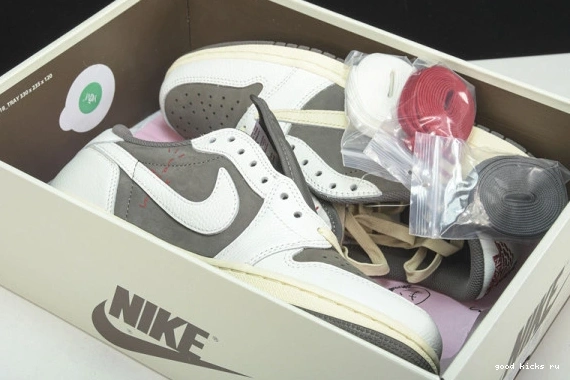 Retro Jordan OG 1 Travis DM7866-162 Reverse Scott SP Low Mocha 0425